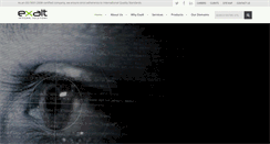 Desktop Screenshot of exaltplc.com